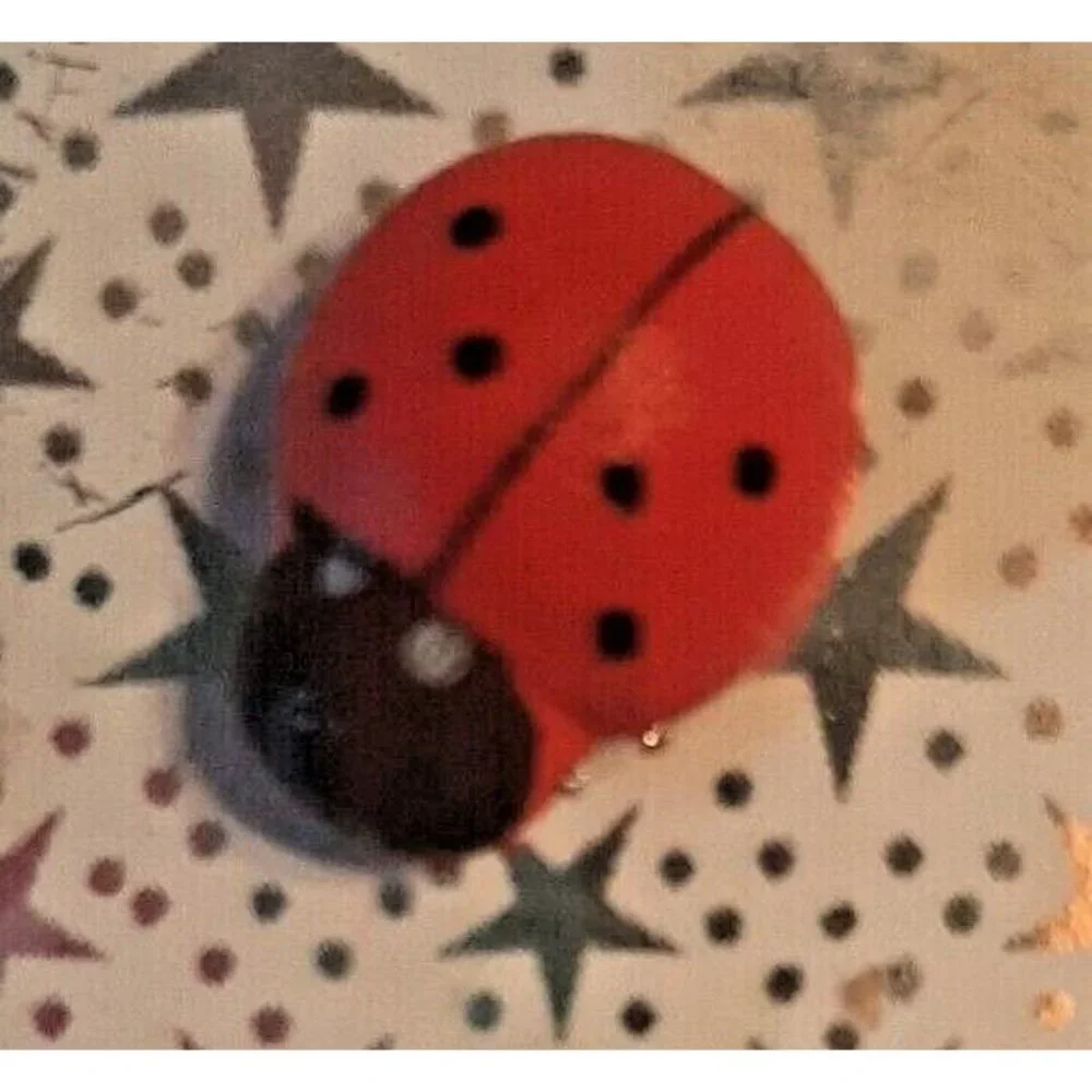Tiny Ladybug Gift Box Empty 1.25 Inches Square Silver Stars